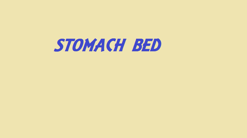 Stomach bed